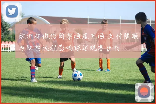 欧洲杯微信购票通道开通 支付限额与取票流程影响球迷观赛出行