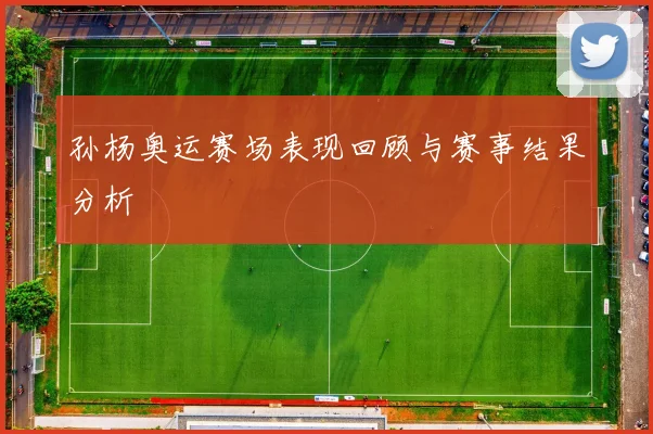 孙杨奥运赛场表现回顾与赛事结果分析