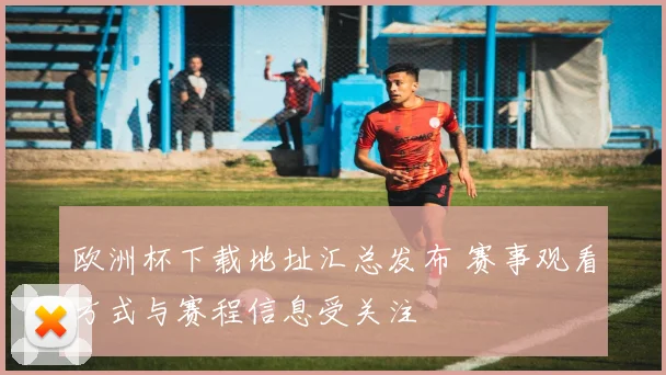 欧洲杯下载地址汇总发布 赛事观看方式与赛程信息受关注