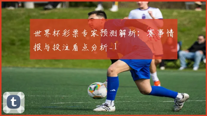 世界杯彩票专家预测解析:赛事情报与投注看点分析_1